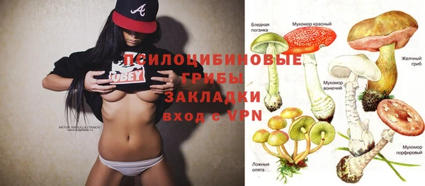 шишки Новокубанск